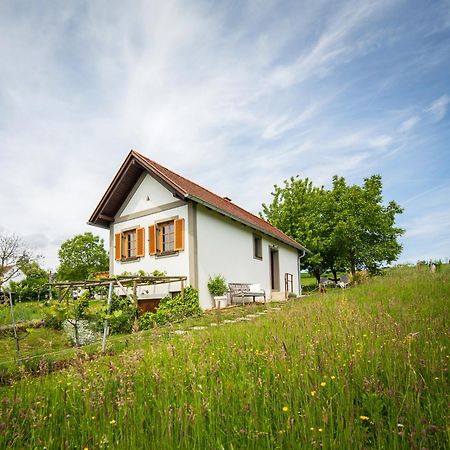 Weinlofts Weinloft I Villa Abdalóc Kültér fotó